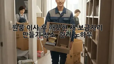 원룸 이사 후 깨끗한 새 보금자리 만들기: 청소 & 관리 노하우