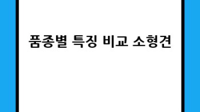 나에게 딱 맞는 강아지 찾기: 품종별 특징 비교 & 선택 가이드